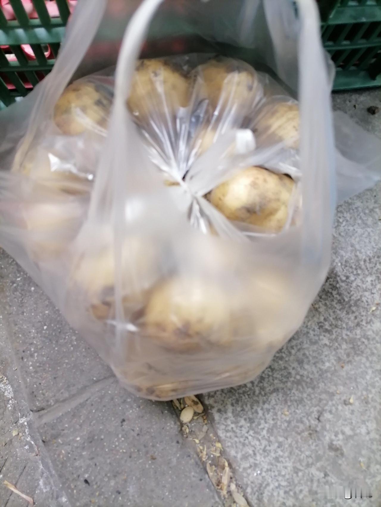 今天我算见识到贵州人有多喜欢土豆，这囤土豆的能力让我大开眼界。35斤土豆，堆成小