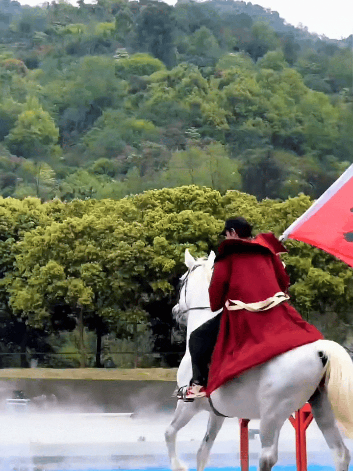 丁真真藏时光 ✨小红书redgala 这匹白马好高大帅气，衬的身披红袍的丁总更加