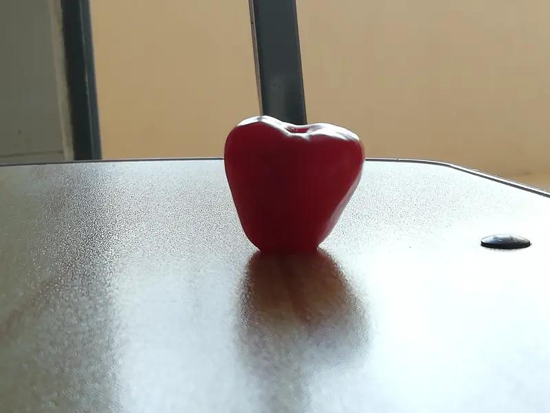 以简单的心，走自己的路， 看自己的风景，过自己的生活， 不羡慕，不嫉妒，平凡没事