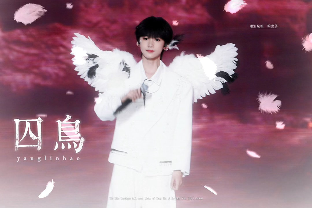 杨林好YL  🌺杨林好 五代第一小提琴手🌺杨林好 杨芽破新 林蔚华章🌺“野