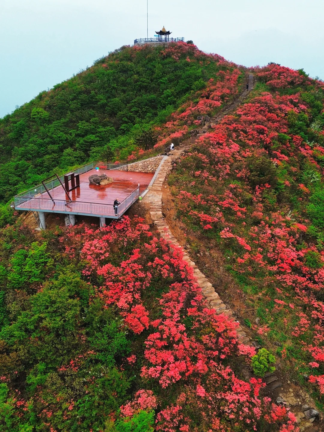 五一在衢州，如果只推荐一座山🌷附路线
