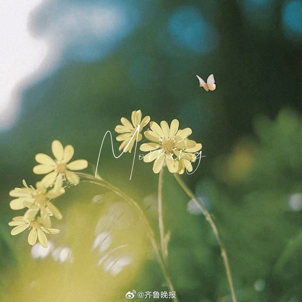 温柔是藏起来的小力量#早安#