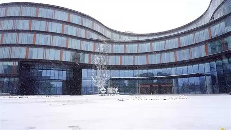 大雪纷飞下，寒风咆哮叫。已是冰封隆冬季，温暖频频送。软语添温情，寒冬暖流至。愿你