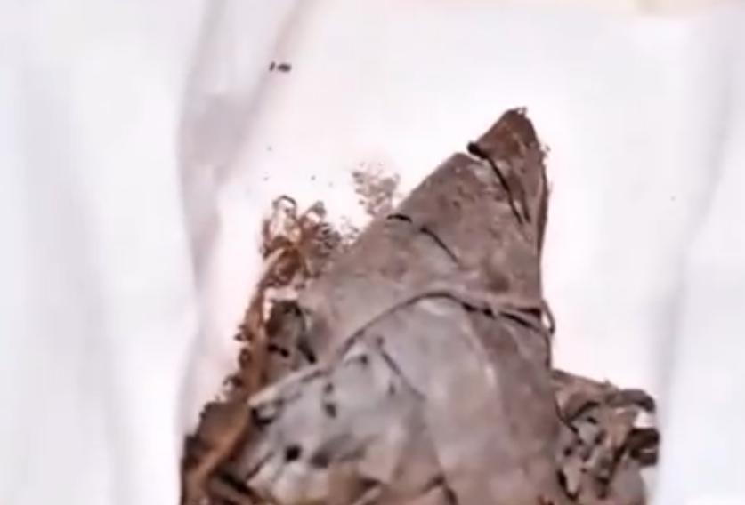 离被盗墓仅 1 米！安徽南陵这座北宋墓堪称天选幸运墓，棺椁与遗骸完整留存，发丝乌