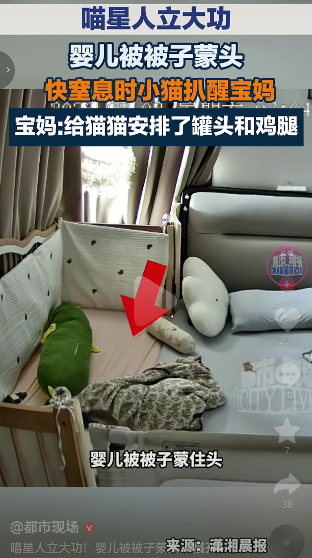 近日，山东临沂的林女士，在家里养了一只猫咪。事发当时，宝妈劳累过度睡得很沉，婴儿