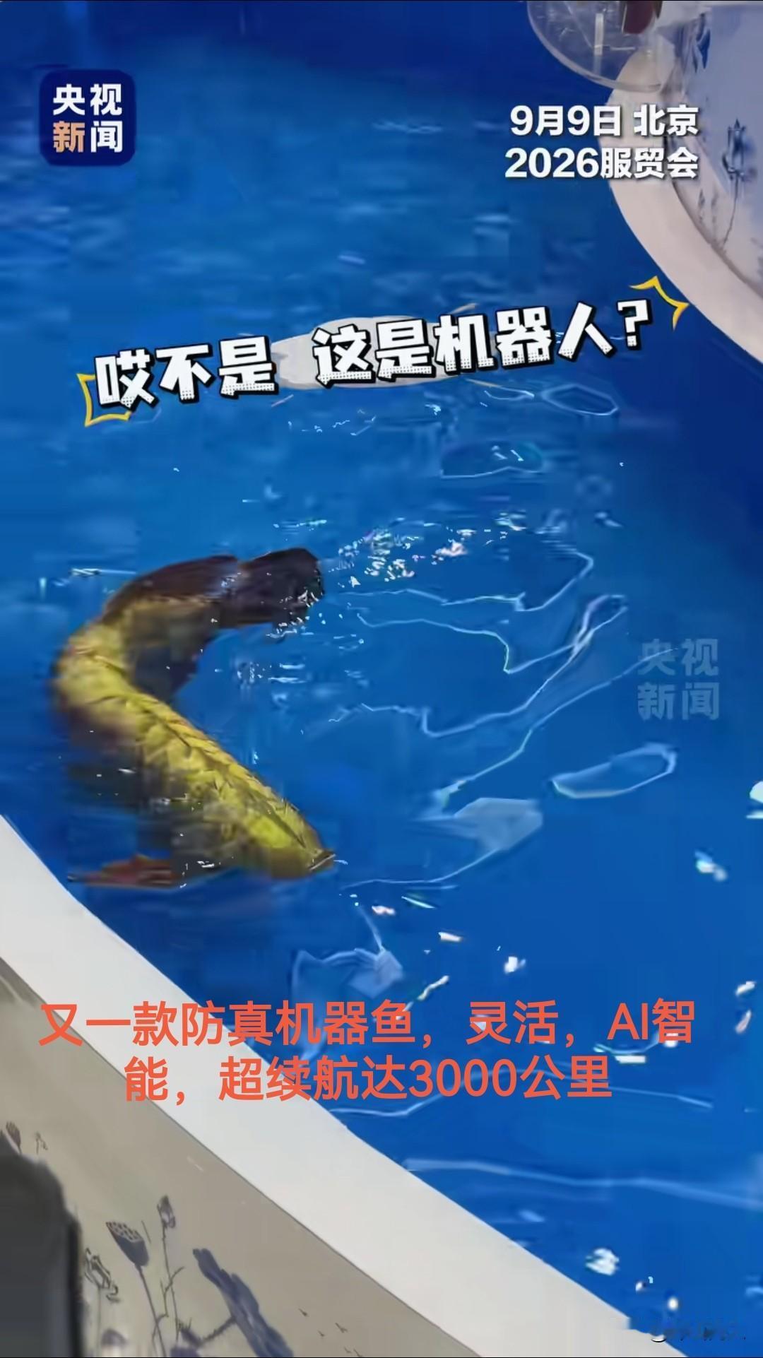 央视新闻报道：在北京展会，又一款AI智能机器鱼问世，可执行海洋侦察，其鱼靠尾鳍摆