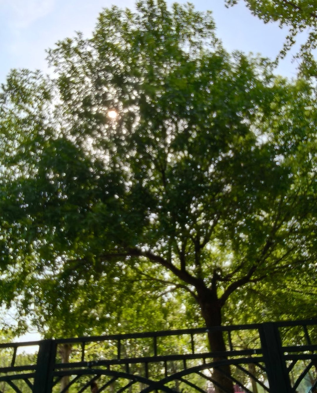 暴力美学生活记录 我从来都不好，我是一个嘴硬说反话转身就掉眼泪的女孩。我黏人小心