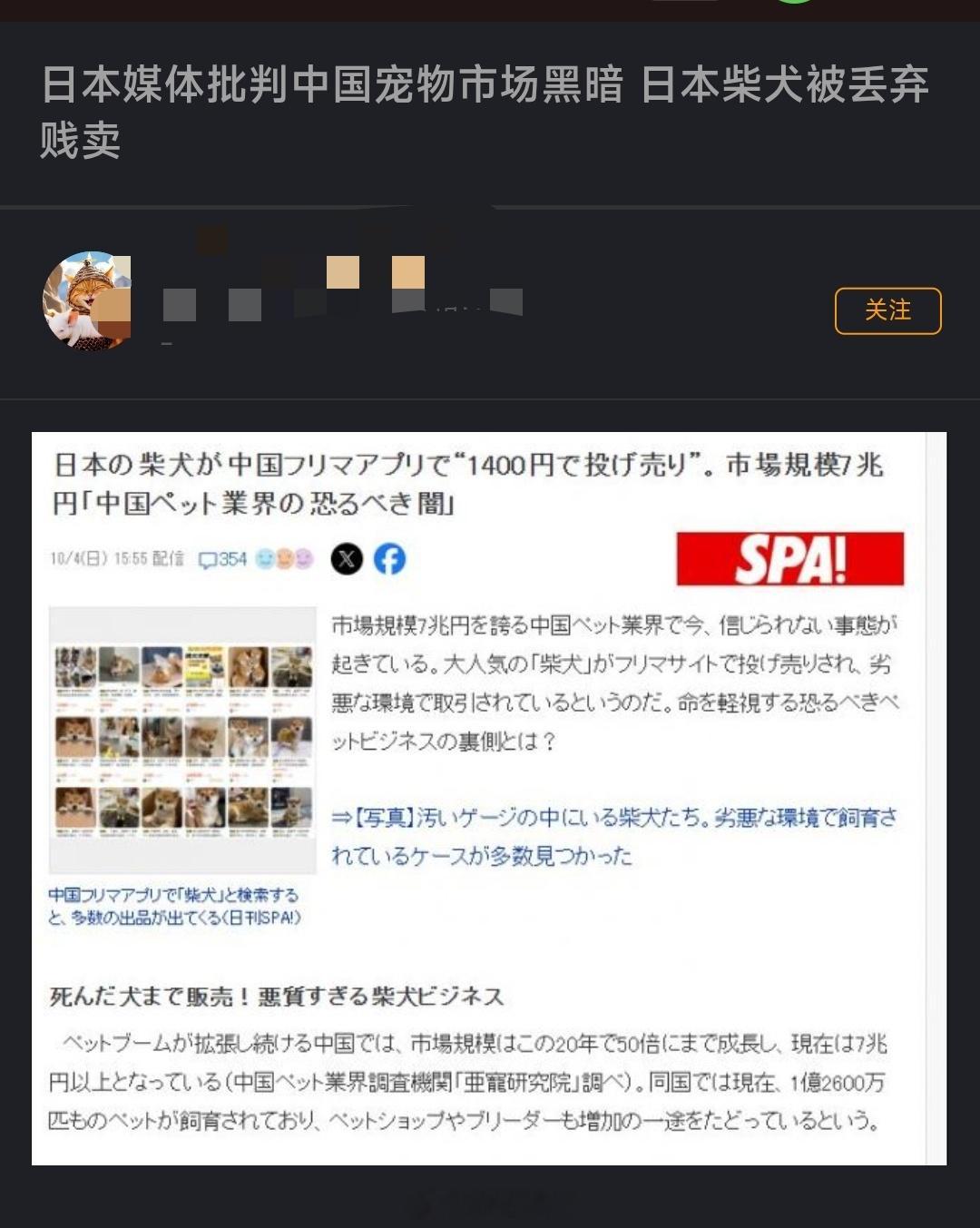 网友：日本媒体批判中国宠物市场黑暗，日本柴犬被丢弃贱卖。说实话柴犬送是近亲杂交的
