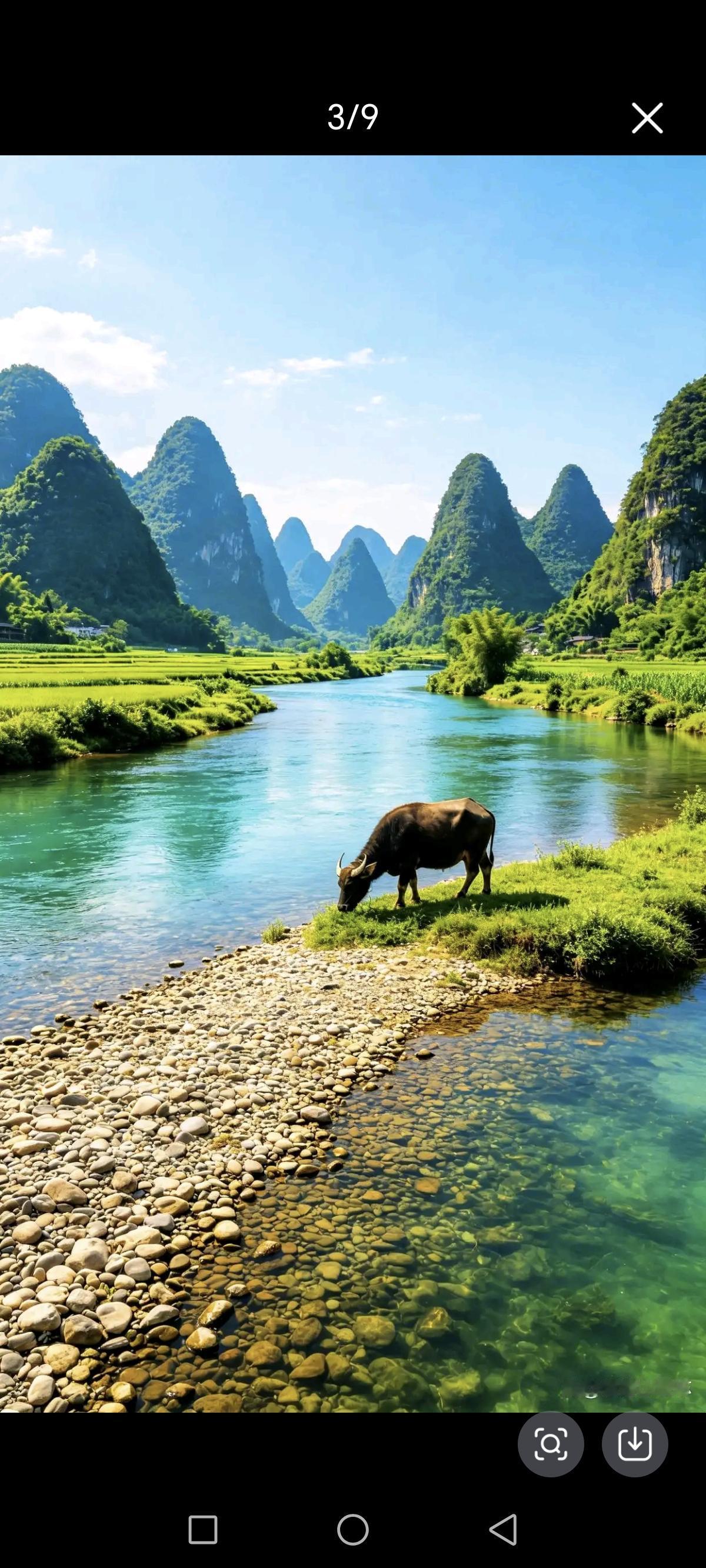 老牛低头在吃草，
唯一愿望是吃饱。
至于山水美不美，
…………………………
请你