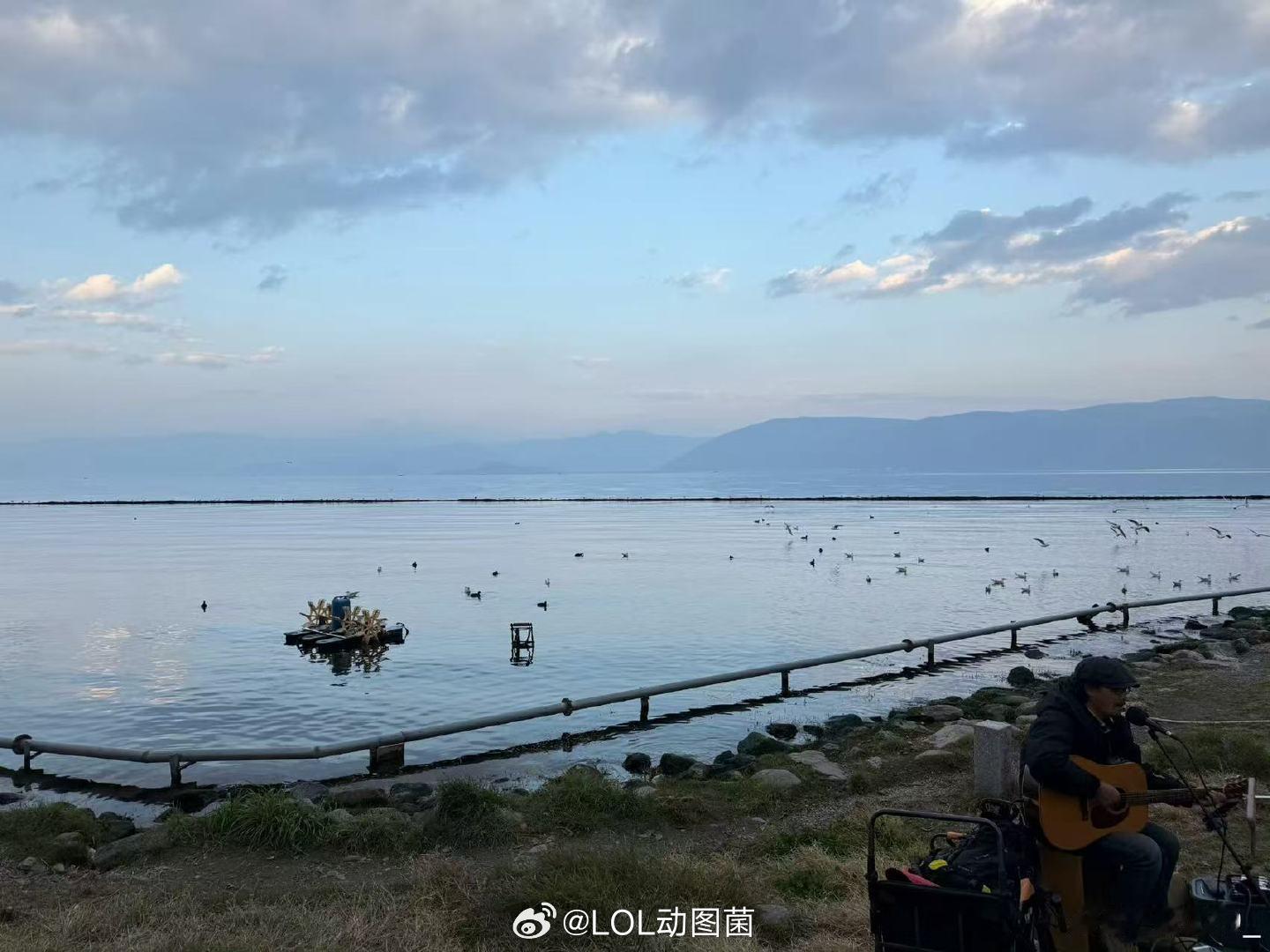 elk发了旅行明信片！elk发了旅行明信片