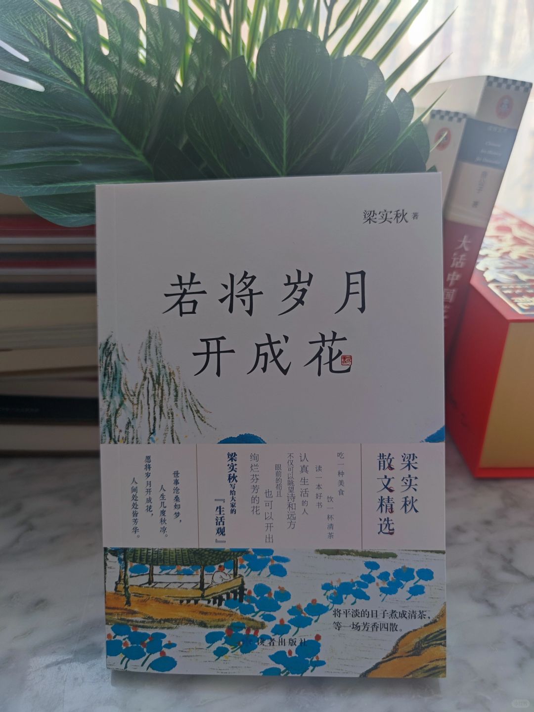 《若将岁月开成花》：生活的美好藏在时间中