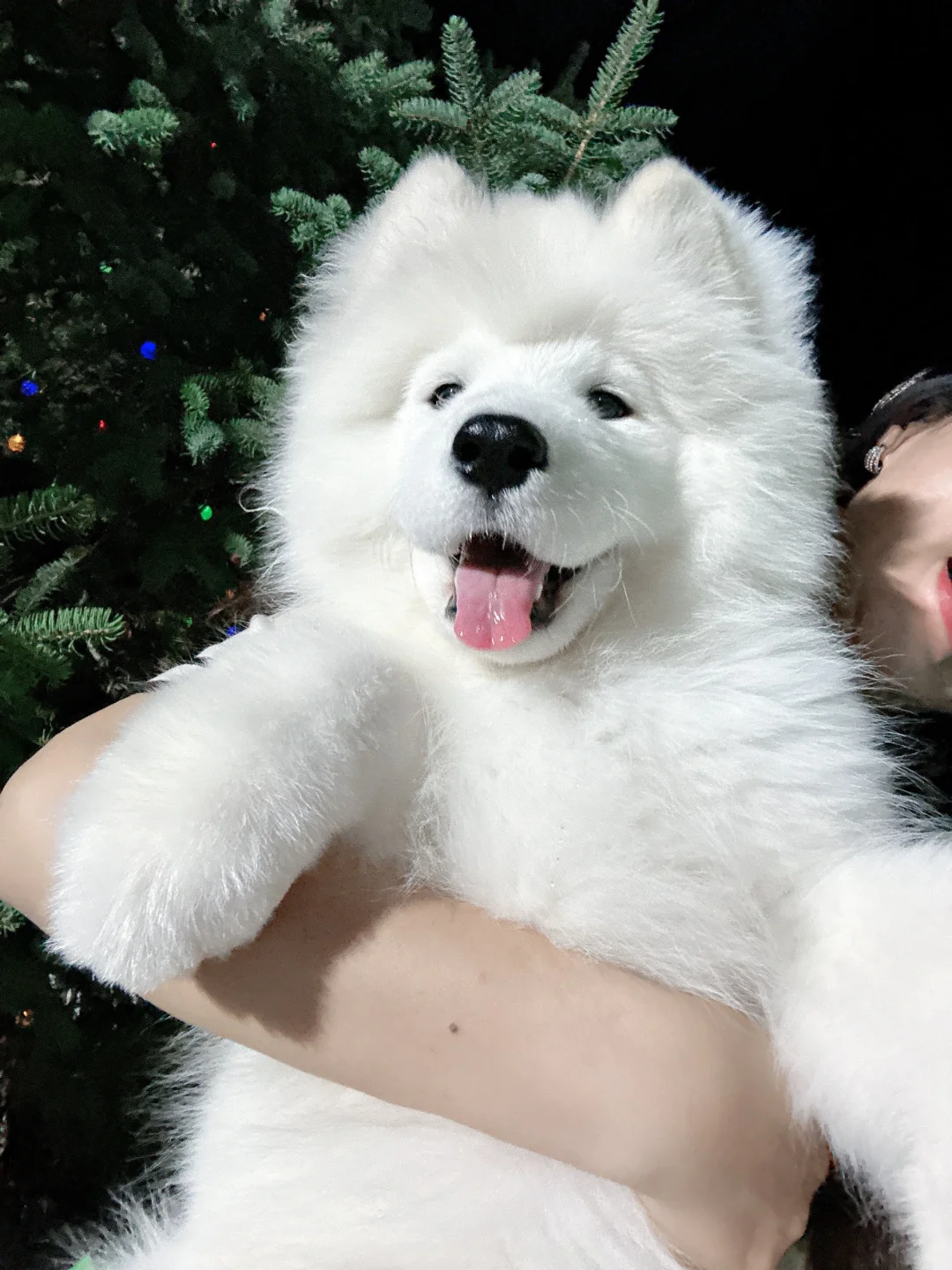 尬美头套熊🐻又尬又甜美