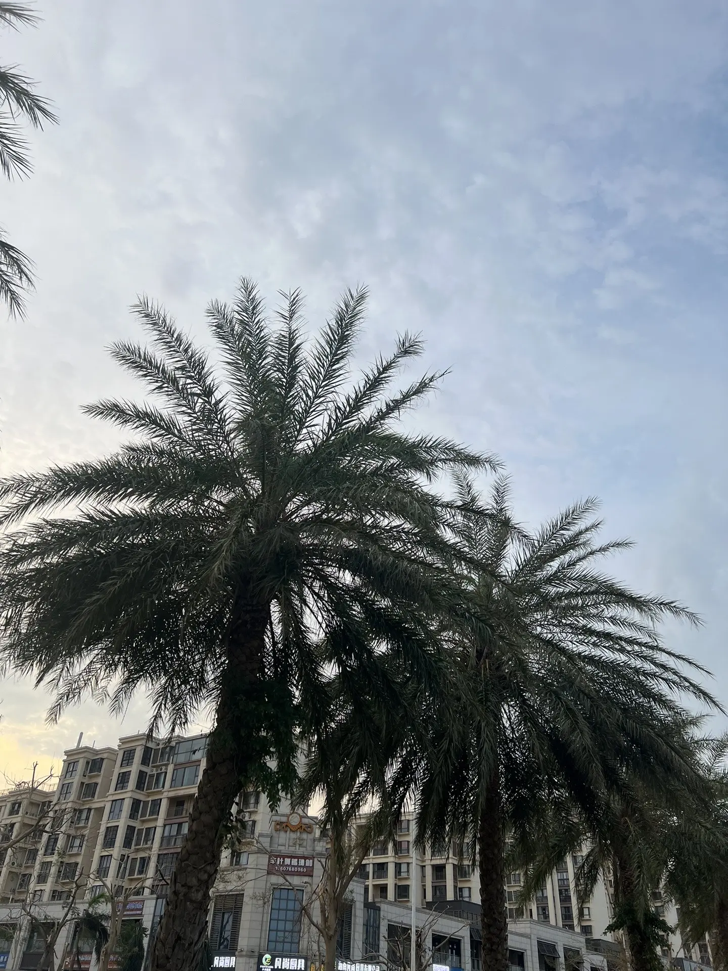 一天完成两个颅咽管瘤手术几乎成了常态。今天的两个颅咽管瘤手术，强度很大...