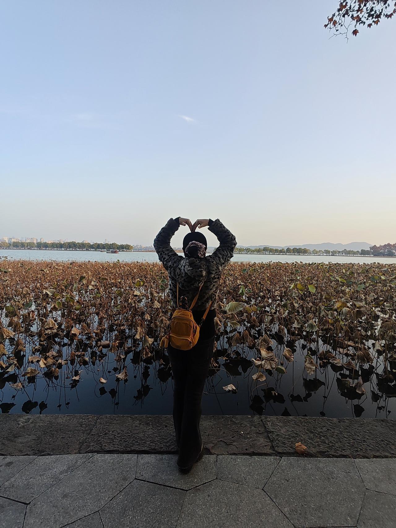 夕阳西下，断桥美景一览无余。晚霞洒落在池塘里的荷叶上，把荷叶衬托的格外美丽。人们