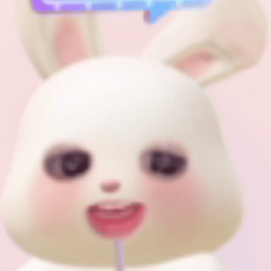 小猪 