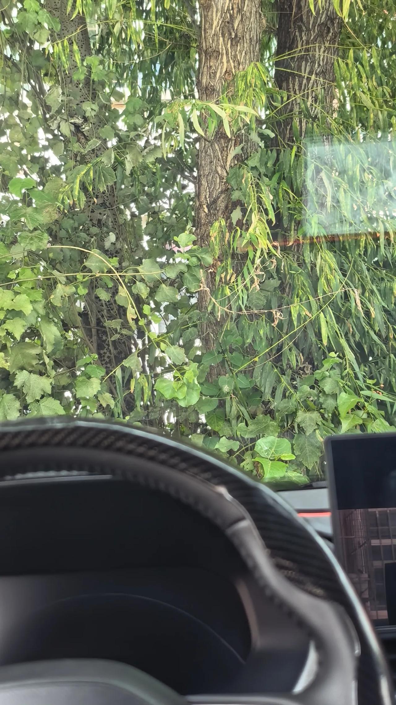 今天也不知道是咋回事，自己和自己发生了点矛盾，什么话也不想说，什么也不想干。就自