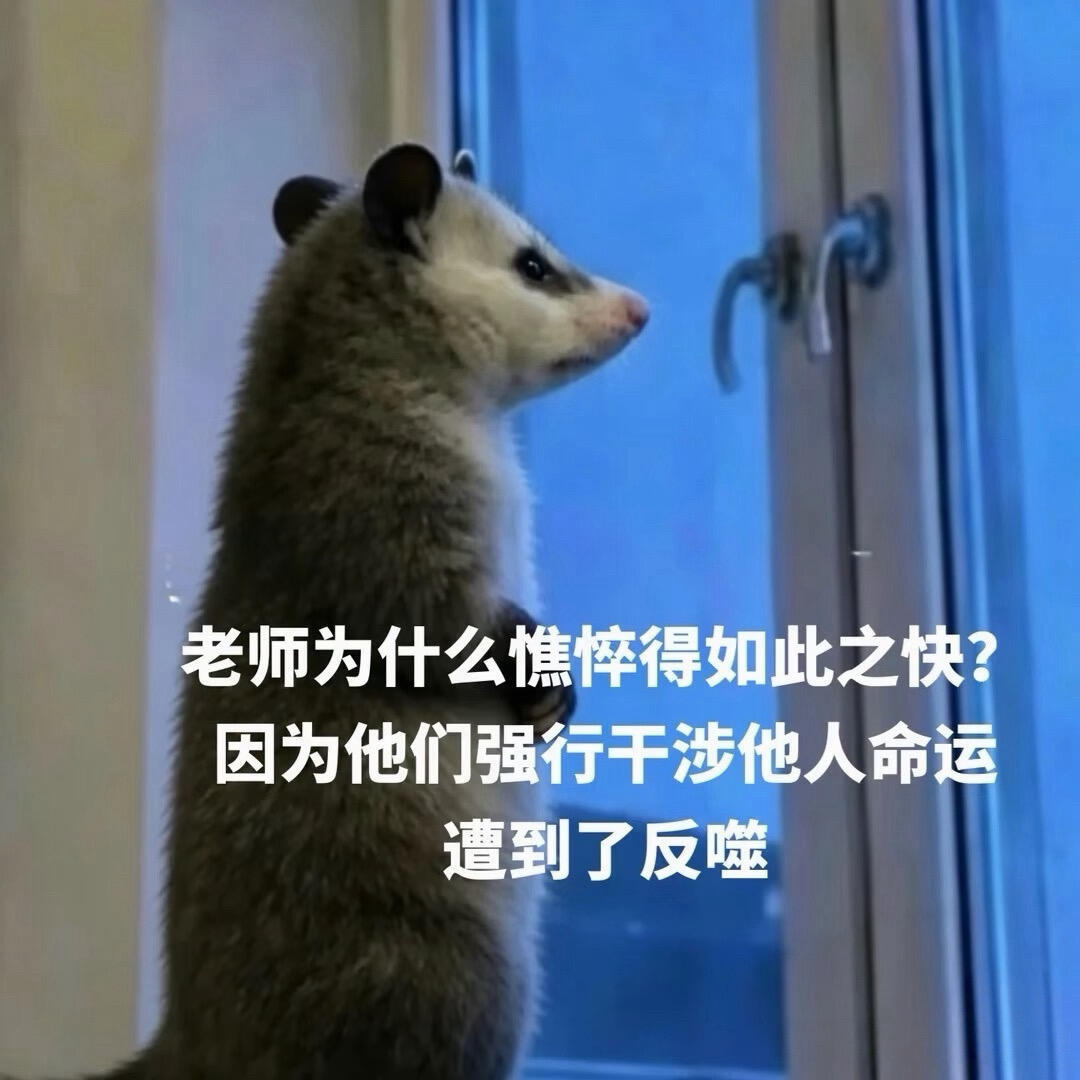 悟了