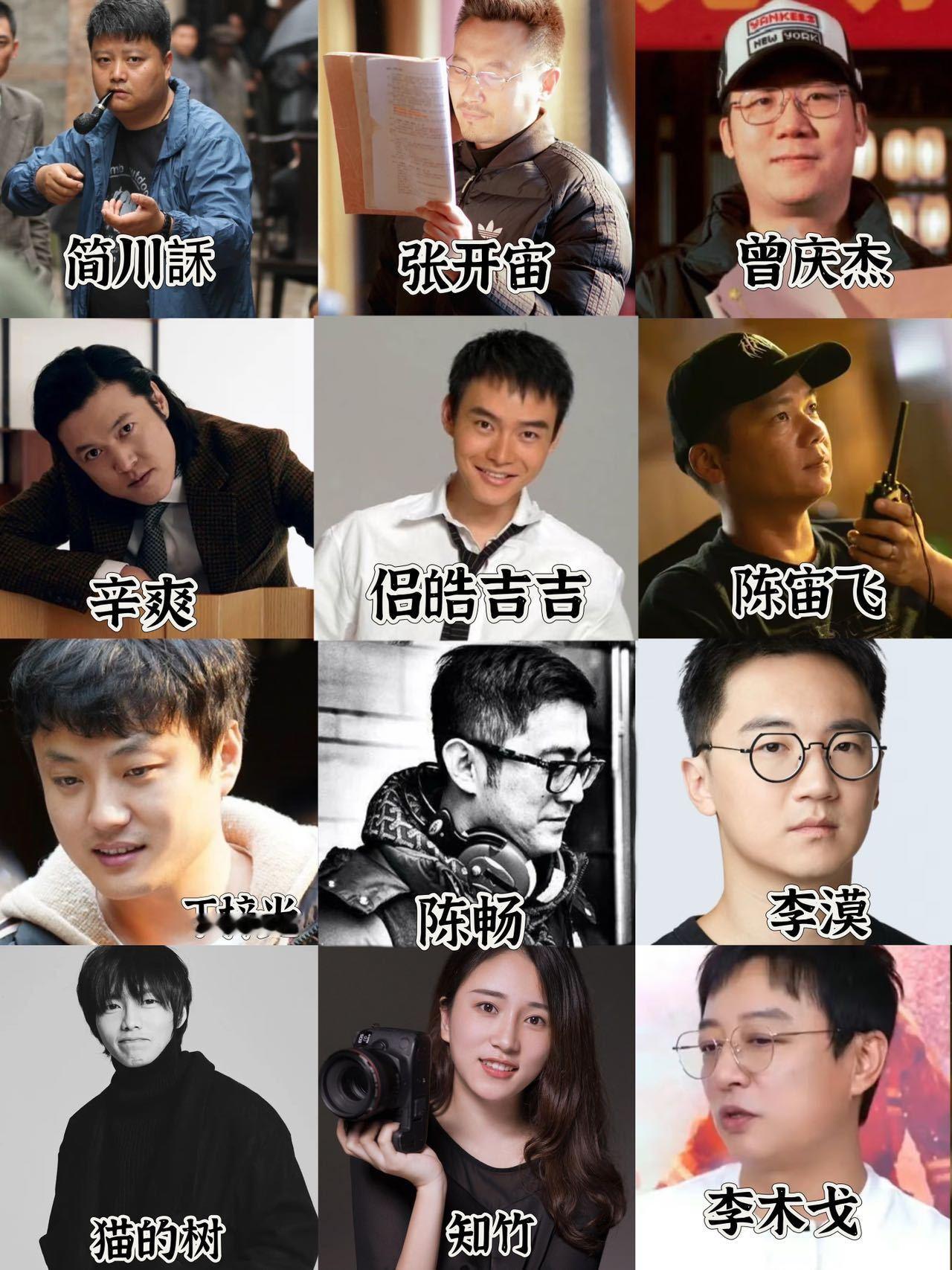 内娱高水平电视剧新锐导演网友票选出的内娱高水平电视剧新锐导演，你认可吗？辛爽《隐