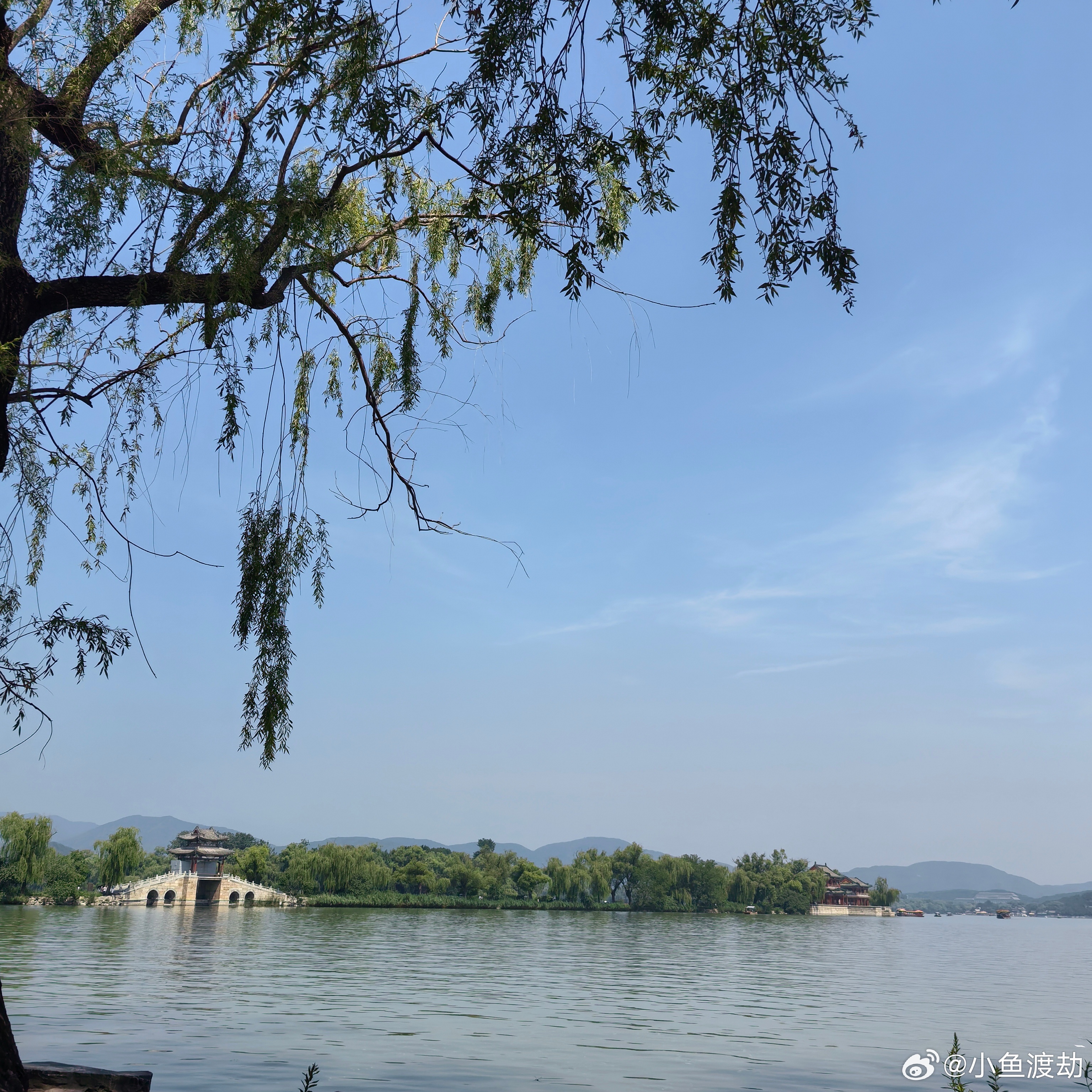 体检报告上的箭头你每年做一次体检。你坐在医生面前，像个等待宣判的囚犯。医生翻着你