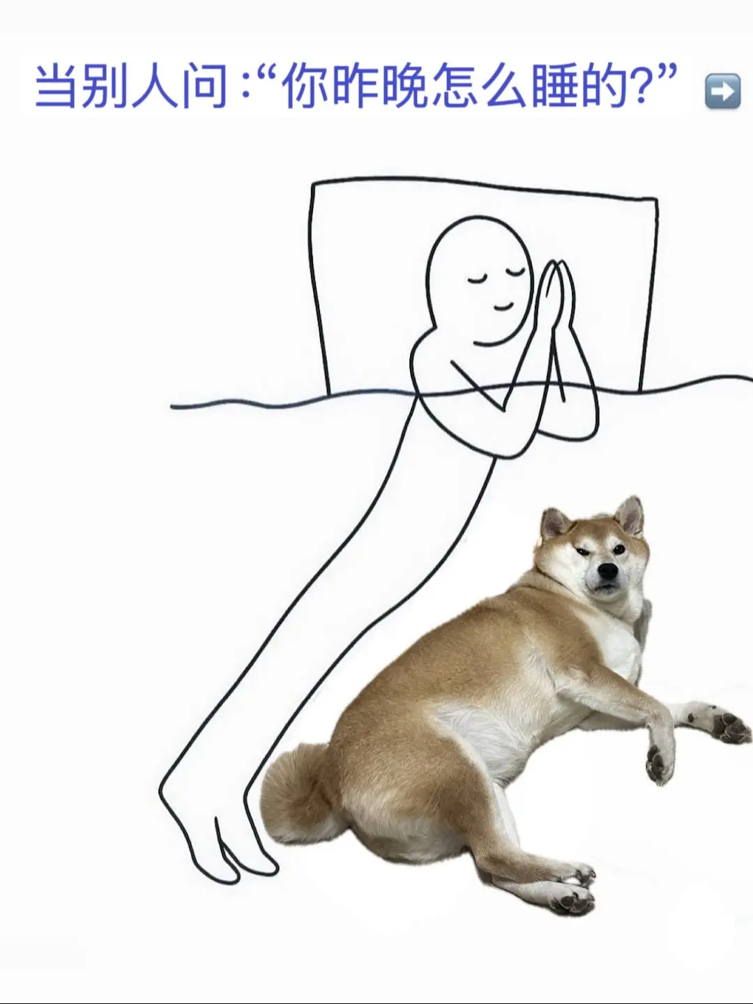 灵魂画手 小狗狗 柴犬柴犬表情包 柴犬搞笑视频