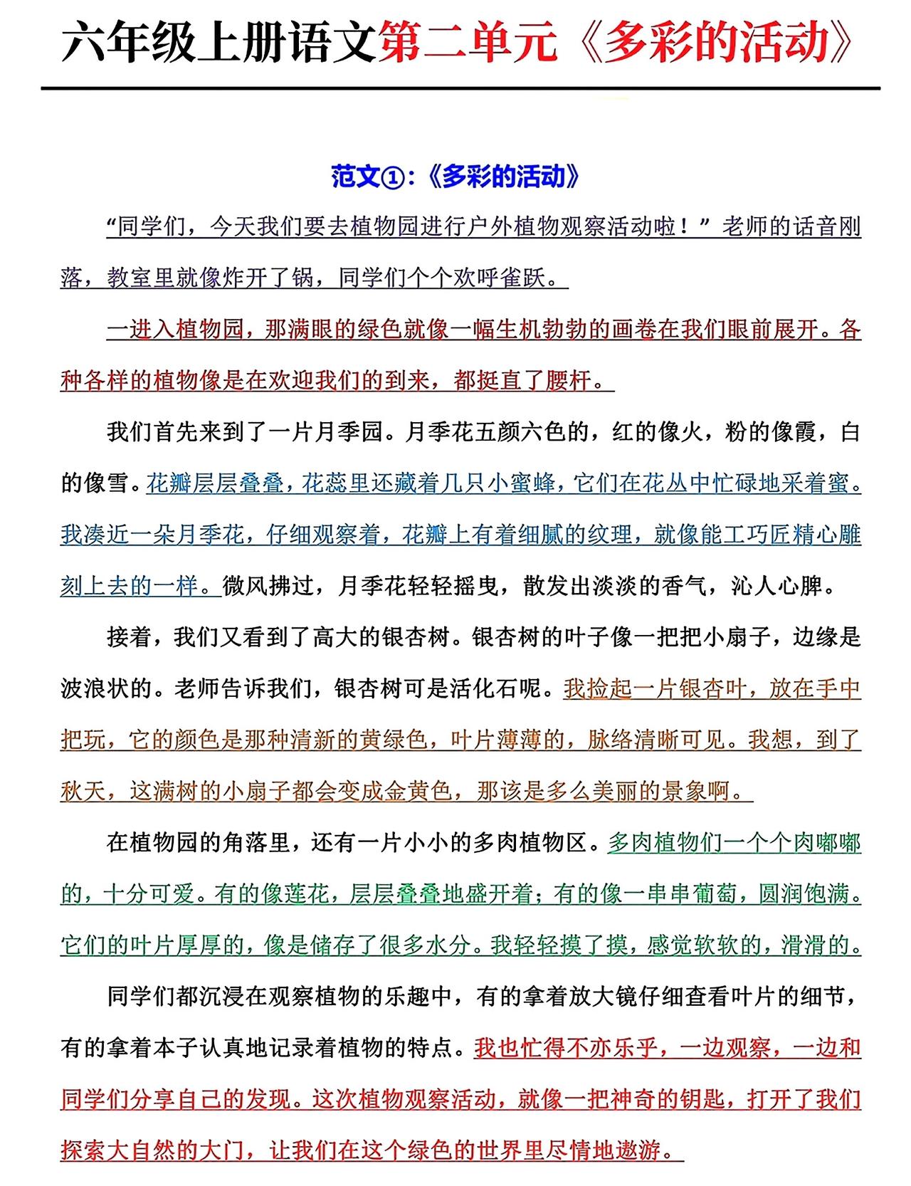 六年级上册语文，第二单元习作《多彩的活动》精选范文6篇，收藏备用