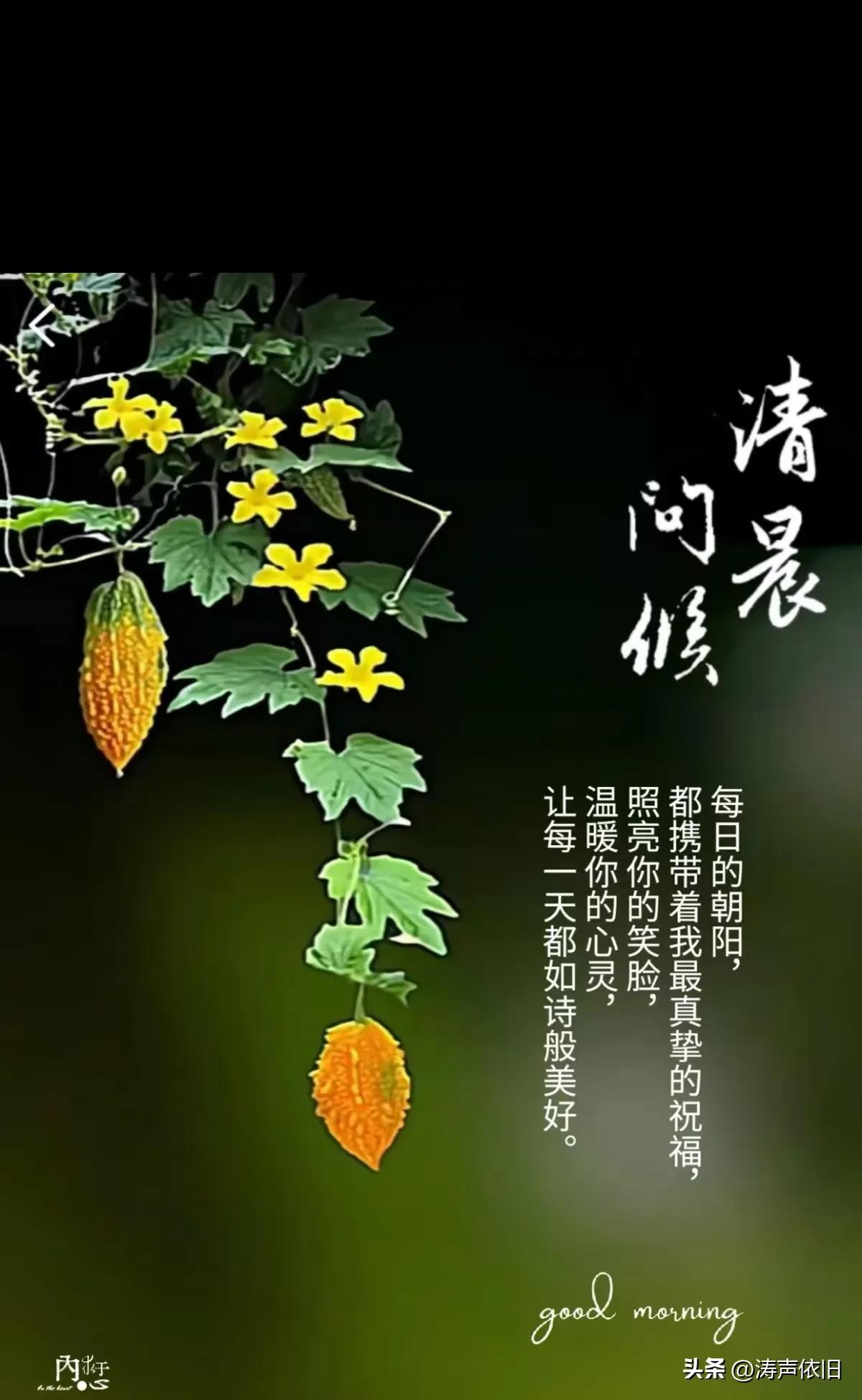 七绝《晨安》

晓起清风拂面柔，
清晨送语解烦忧。
身安常伴欢愉在，
福寿绵长岁