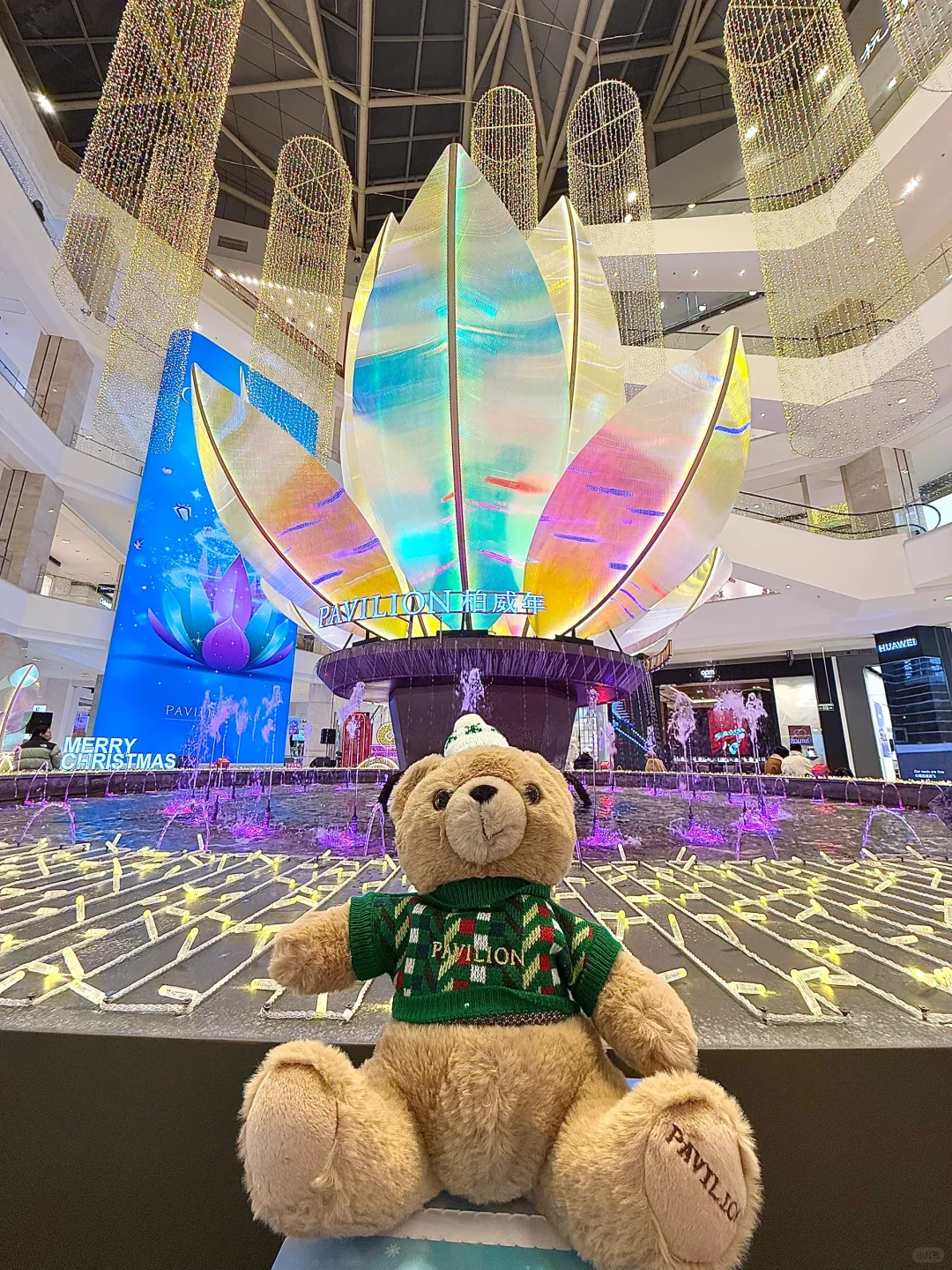 柏威年圣诞小熊又来啦！