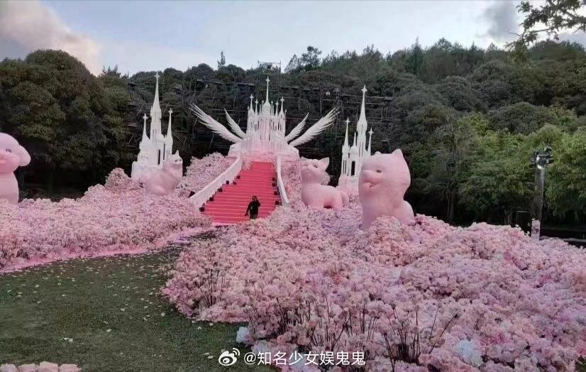 黄子韬求婚徐艺洋现场曝光！黄子韬真的超爱！在玉龙雪山上！求婚现场布置了粉色花的海