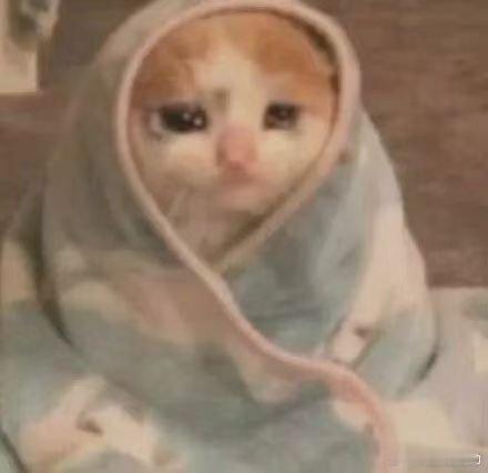 tsls的蓝底白字fzk都能复出了 ​​​
