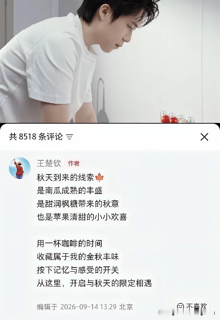 头哥今天为奈斯发文推广商务了！哇，感觉这段文字好唯美好有意境，特别有画面感和氛围