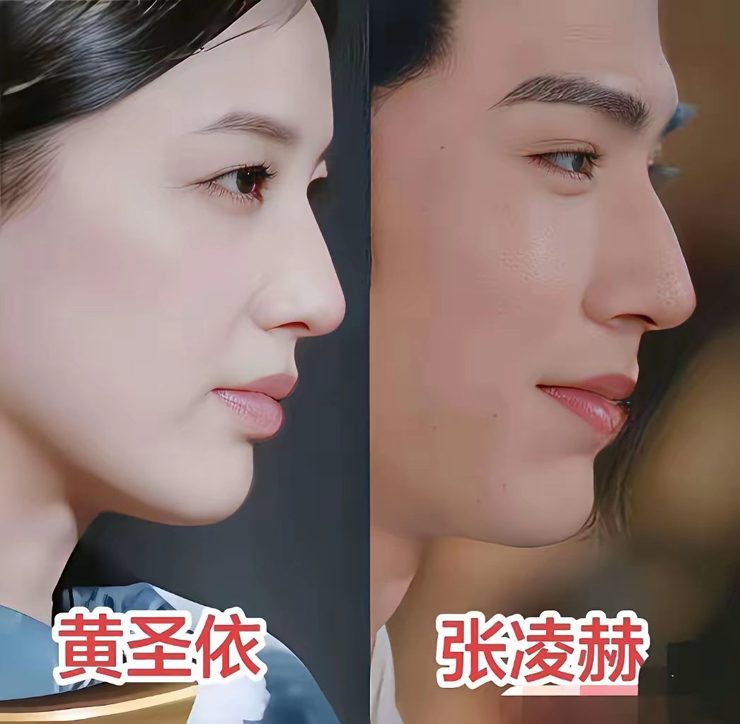 没有血缘关系，但是还长的这么像，这个真没法解释！ 