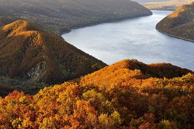 上午发个为什么现在不少中产移民出国的帖子，从我认识人的感觉，主要是积累了点财富，