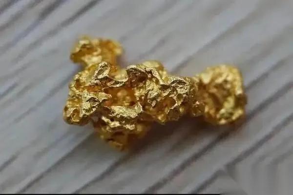 中国姑娘巴黎偷金块？

24岁女子被法方起诉羁押

谁能想到，巴黎国家自然历史博