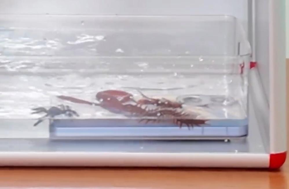 可以隐隐约约看到 iQOO Neo11 长这样，支持 IP68 和 IP69 防