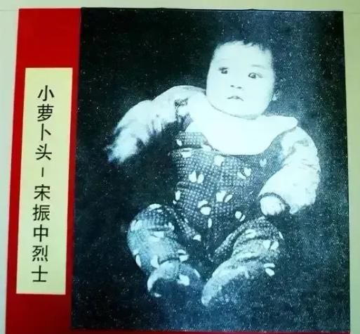 1949年，毛人凤问蒋介石，白公馆关着一个八岁大的小孩，应该如何处理，蒋介石看了