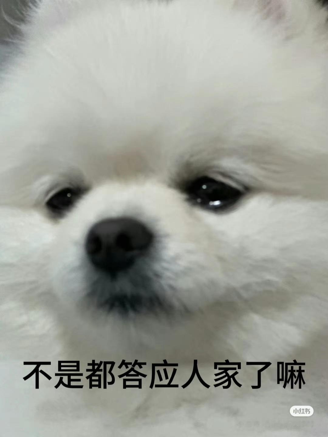 💧 ​​​