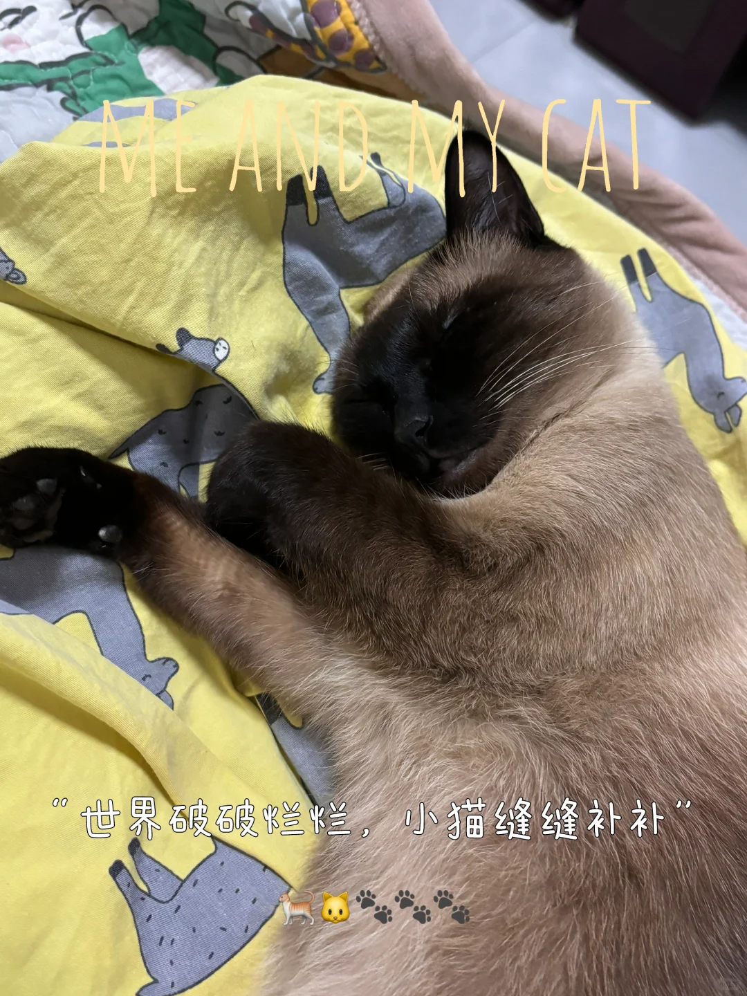 晚安啦宝贝