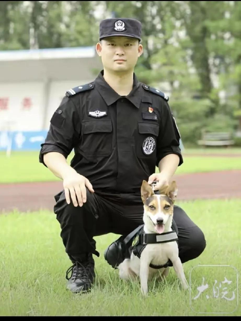 安徽警犬乔治：本土犬种的荣耀之战

在公安部举行的第六届全国警犬技术比赛中，一场