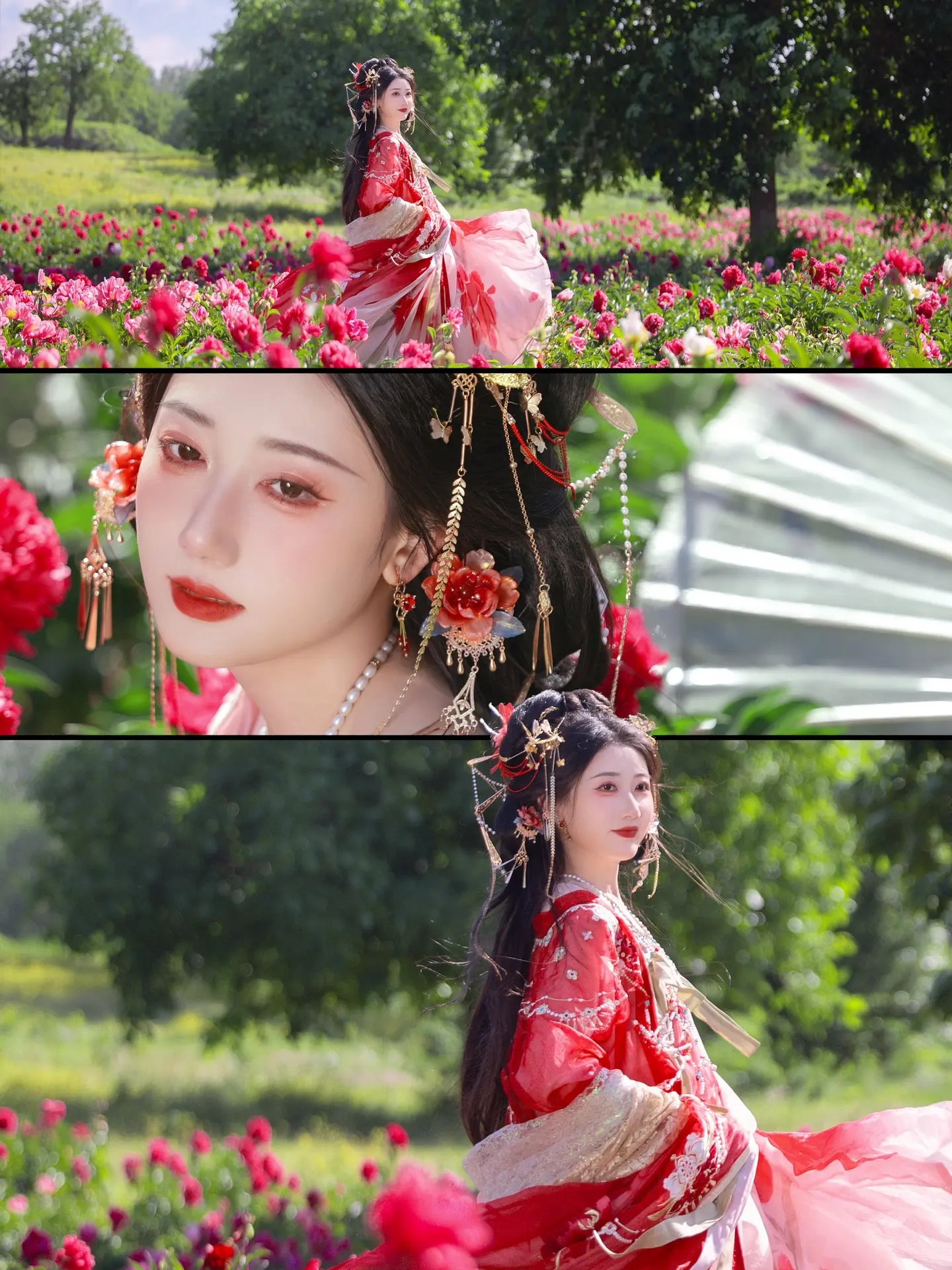 “繁花绣河山”。芍药花期已过我才修完 不是模特怎么拍古风好看～拍照自然...