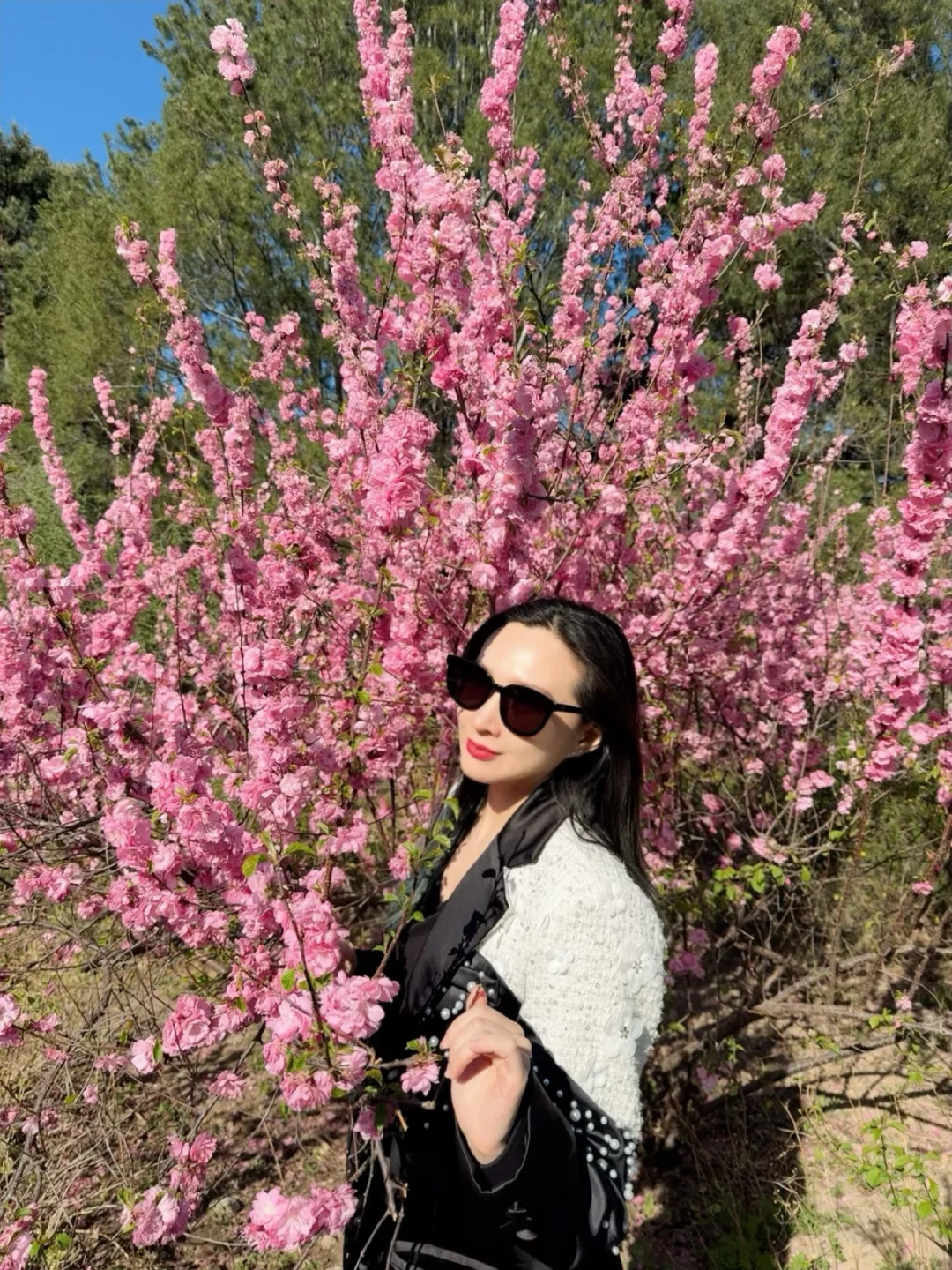 沾花🌷惹草🌿