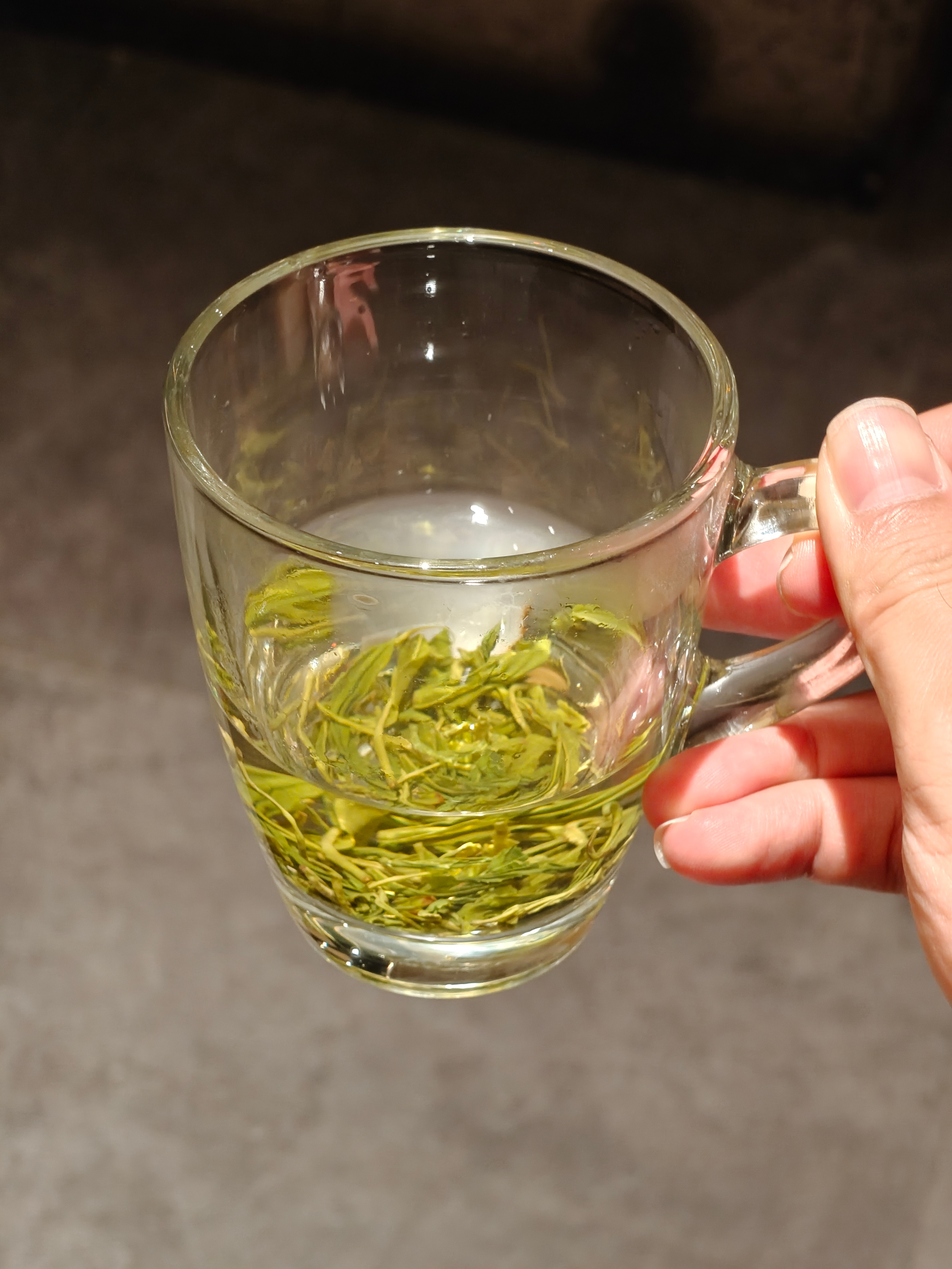 这种大叶子茶能沉底挺方便铁观音还能这样泡我是没想到的 