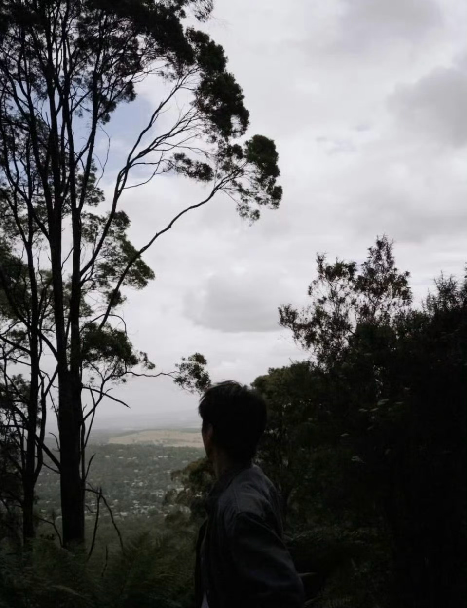 王俊凯晒墨尔本碎片王俊凯周杰伦ins合照 小凯的墨尔本明信片更新啦！和杰伦哥玩得