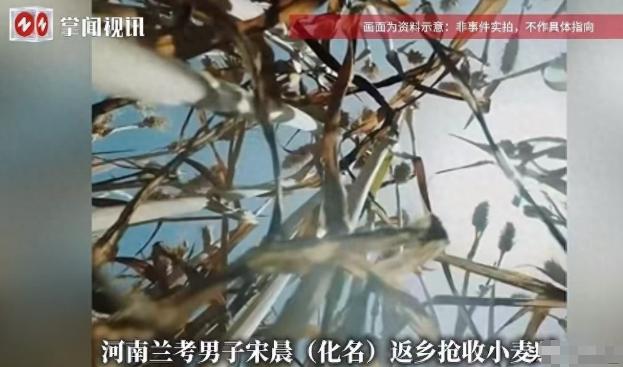 “一巴掌没那么大威力！”

河南兰考麦地里，两个人因为收麦子起争执，宋猛抬手给宋