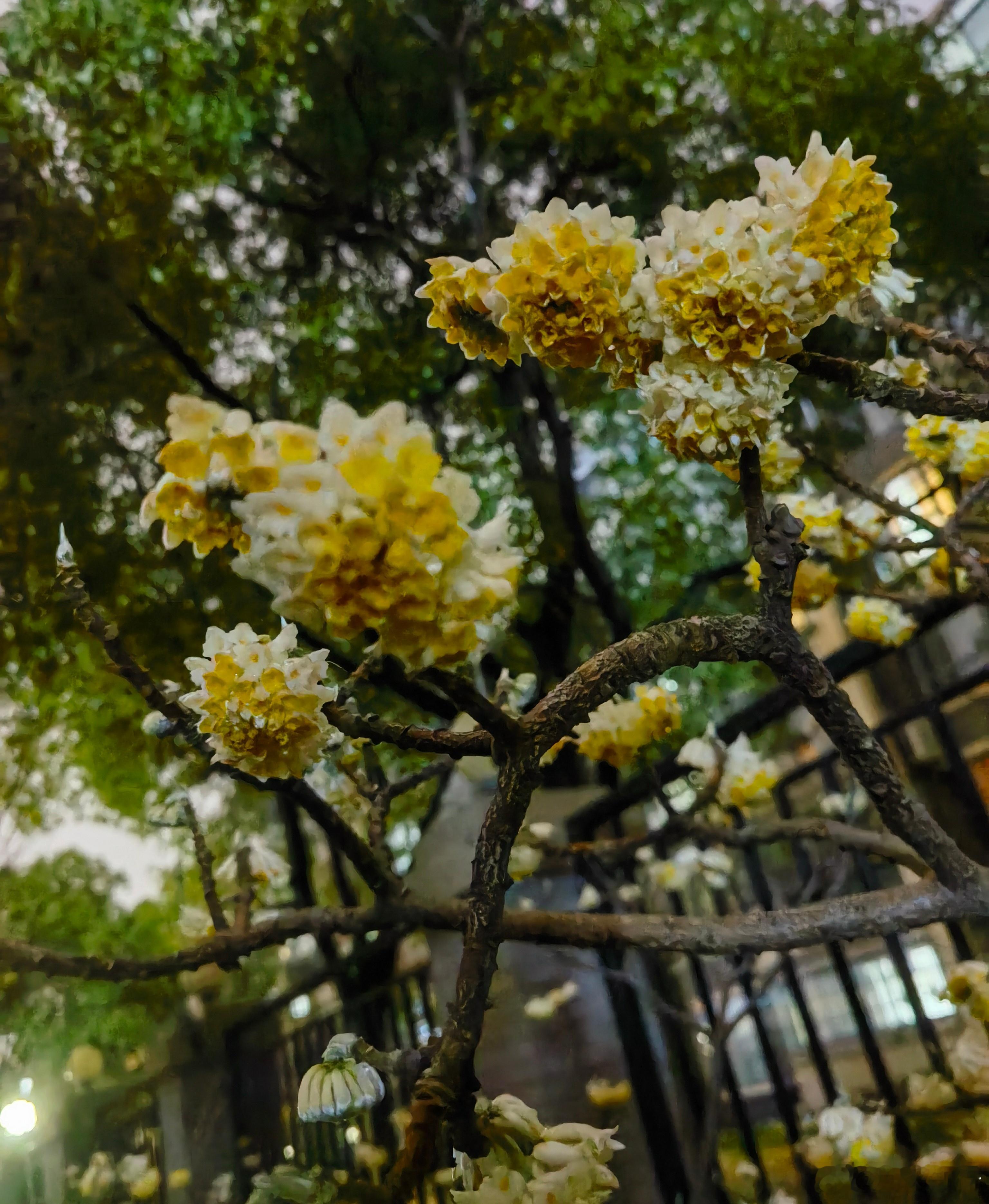 大家周末早！我们每天学习是为了什么？是为了让自己更安定，更舒服，更有方向感。在股