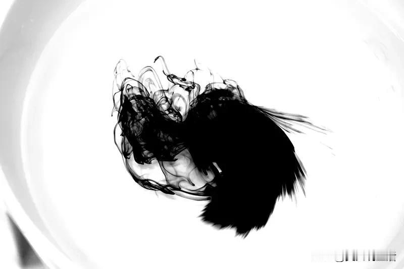 墨色在宣纸上晕染开时，仿佛听见时光的低语。提笔时腕间流转的是千年文脉的余韵，落墨