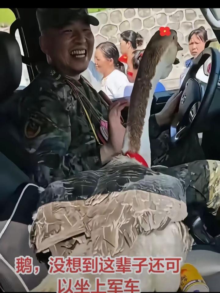 洪水退了，兵哥要走。贵港一位阿婆抱着大肥鹅，腿上绑着红绳，死活往车上塞。战士摆手