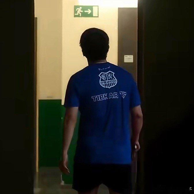 樊振东萨尔布吕肯主场最后一战期待4月16日凌晨1点樊振东的德甲主场告别战