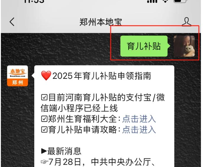 上周刷到邻居宝妈晒育儿补贴到账截图，我直接惊了原来河南早开通3岁以下娃的补贴申领