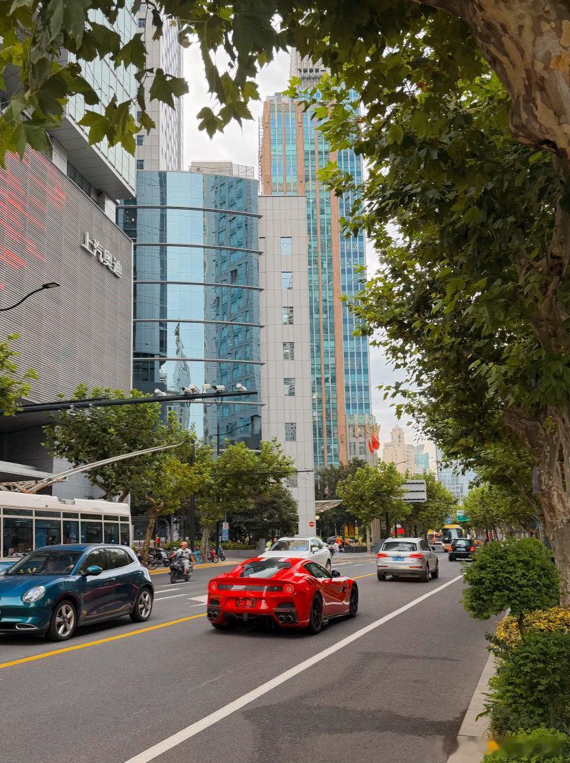 近两周回来后的近期所见  一直忘记发了 18图都塞不下了 上海