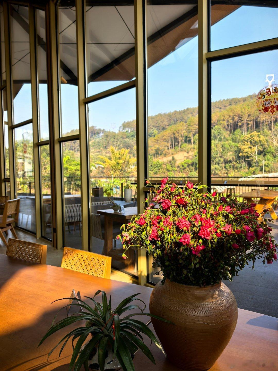 这次云南行，找到一个有趣的去处。普洱高速出来，7公里的山路可到“美丽星村.有风咖